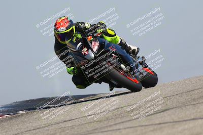 media/Mar-24-2025-2WTD (Mon) [[55b4b08488]]/A Group/11am (Outside Grapevine)/